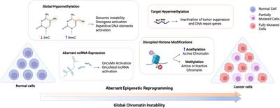 Epigenetic reprogramming in cancer: From diagnosis to treatment